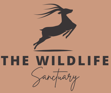 Wild Life Sanctuary